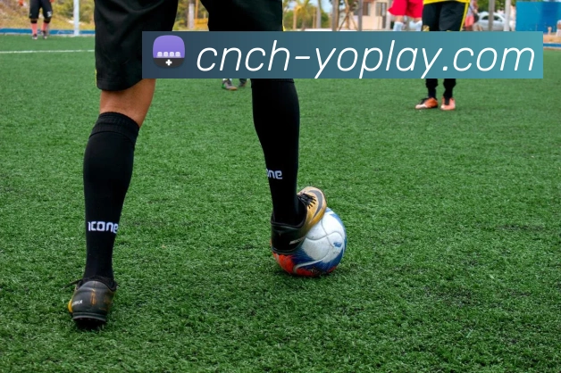 YOPLAY电子官网平台生态图