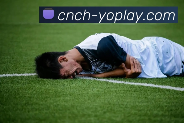 YOPLAY电子官网全站App